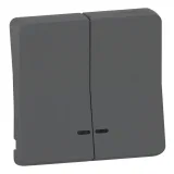 Клавиша двойная Schneider Electric MUREVA STYL, антрацит, MUR34205